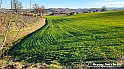 20230109_154255 - Dalla terra... il grano